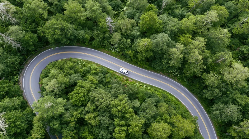 Aerial view of a winding road through dense green forest with a white car driving along the curve