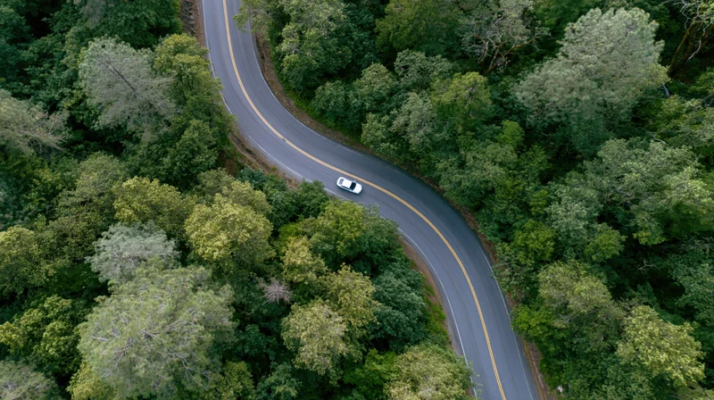 Aerial view of a white car driving on a winding road through dense green forest