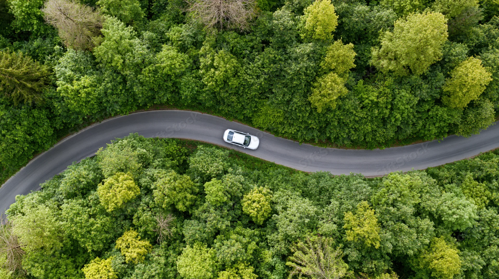 White car driving on winding road through dense green forest from aerial view