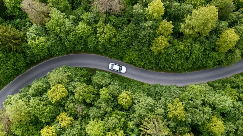 White car driving on winding road through dense green forest from aerial view