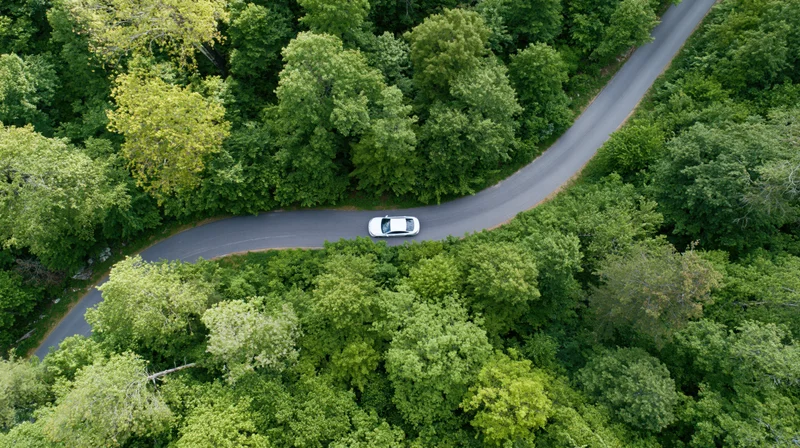White sedan driving on winding road through dense green forest from aerial view
