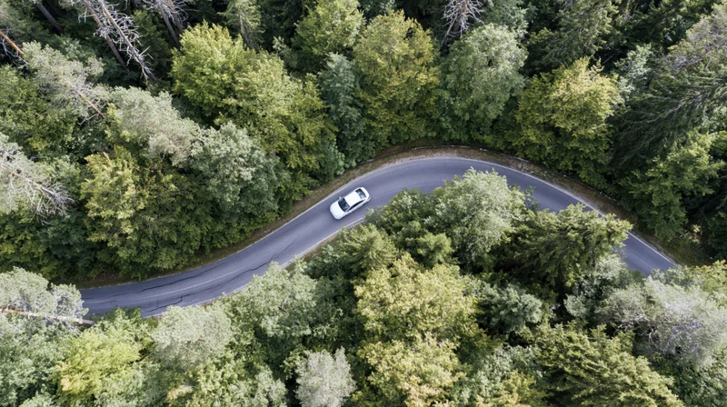 White car driving on winding road through dense forest from aerial view