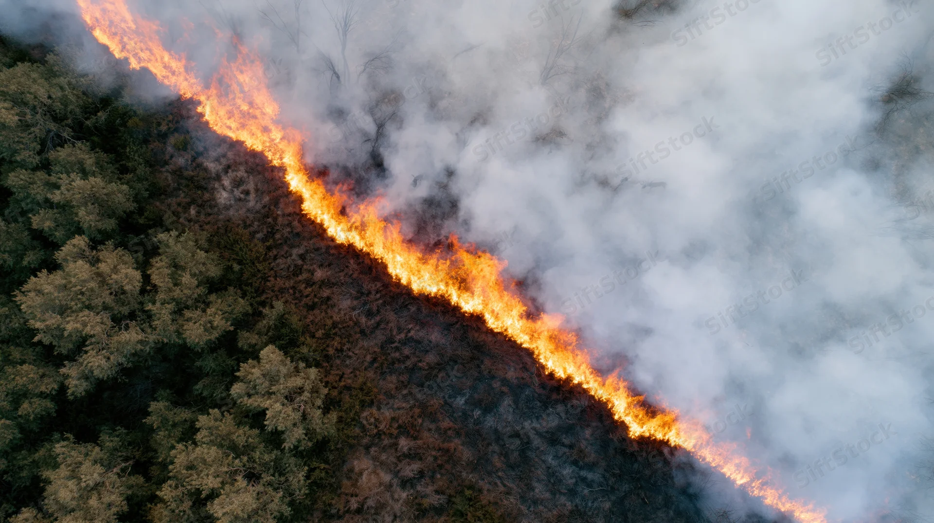 Aerial view of wildfire burning through forest landscape with thick smoke rising