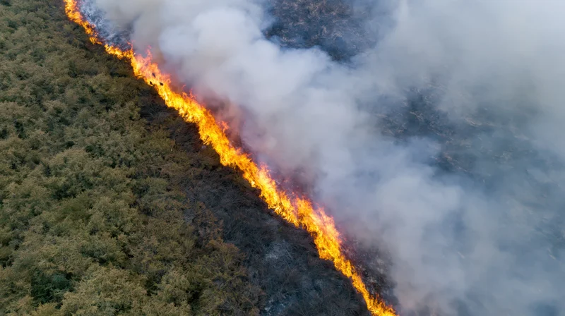 Aerial view of wildfire burning through forest landscape