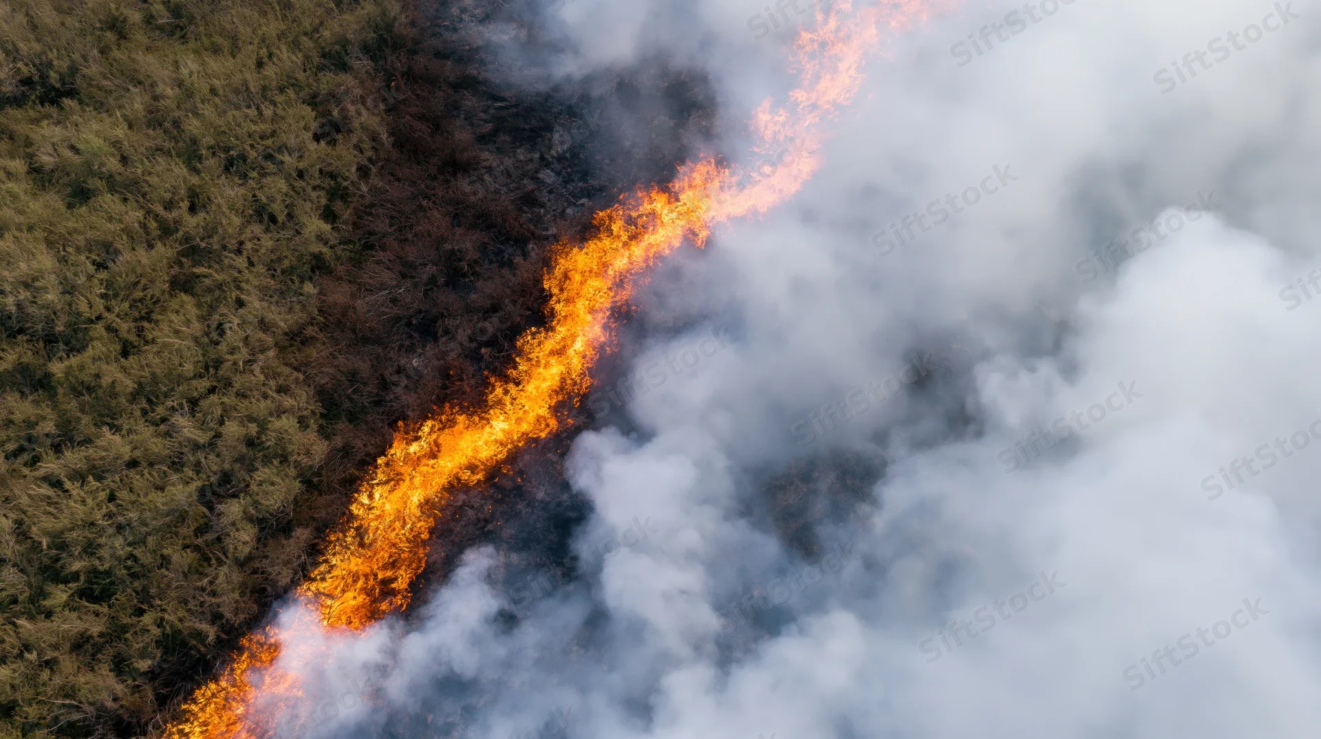 Aerial view of wildfire burning through forest landscape with thick smoke rising