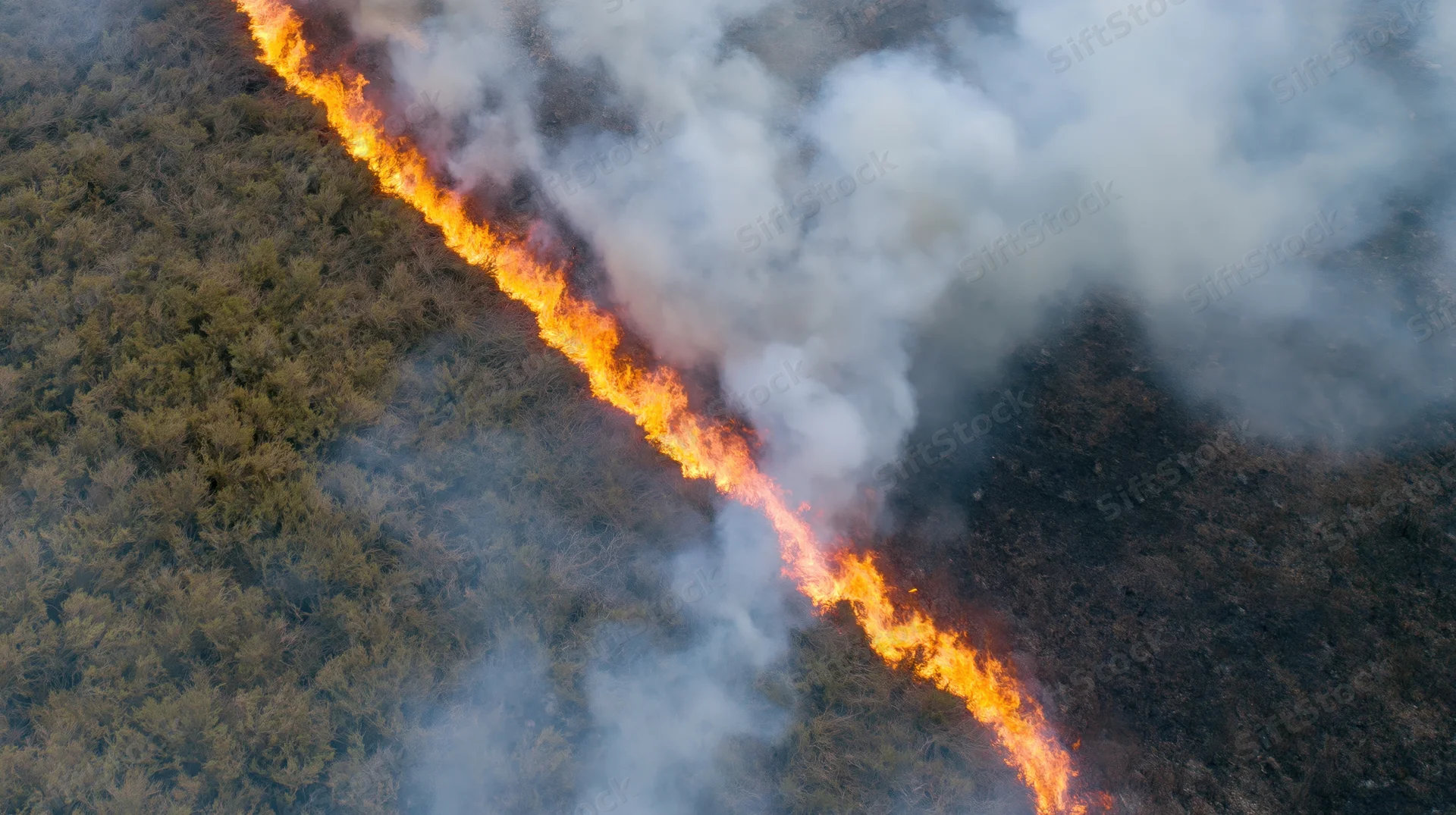 Aerial view of wildfire burning through forest landscape