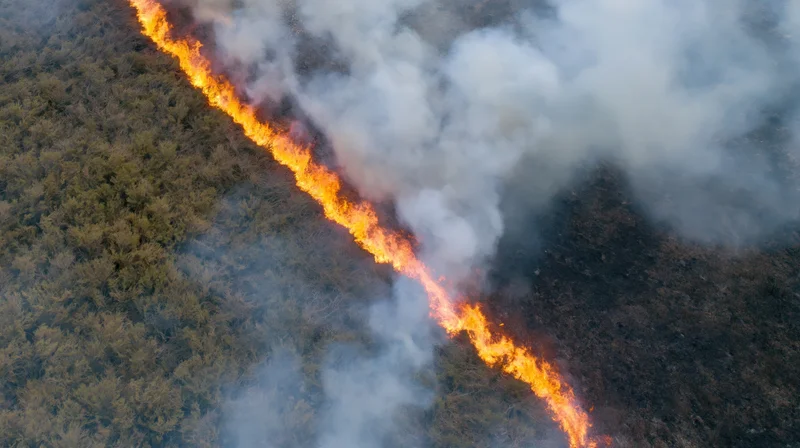 Aerial view of wildfire burning through forest landscape