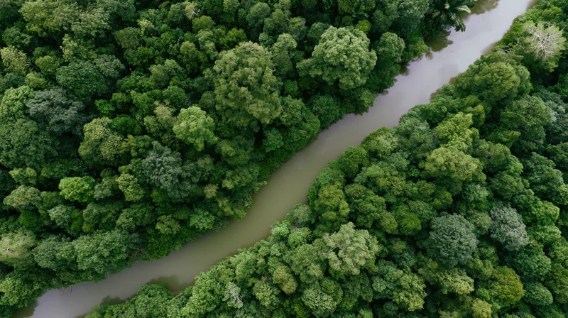 Aerial view of a winding river cutting through dense tropical rainforest canopy