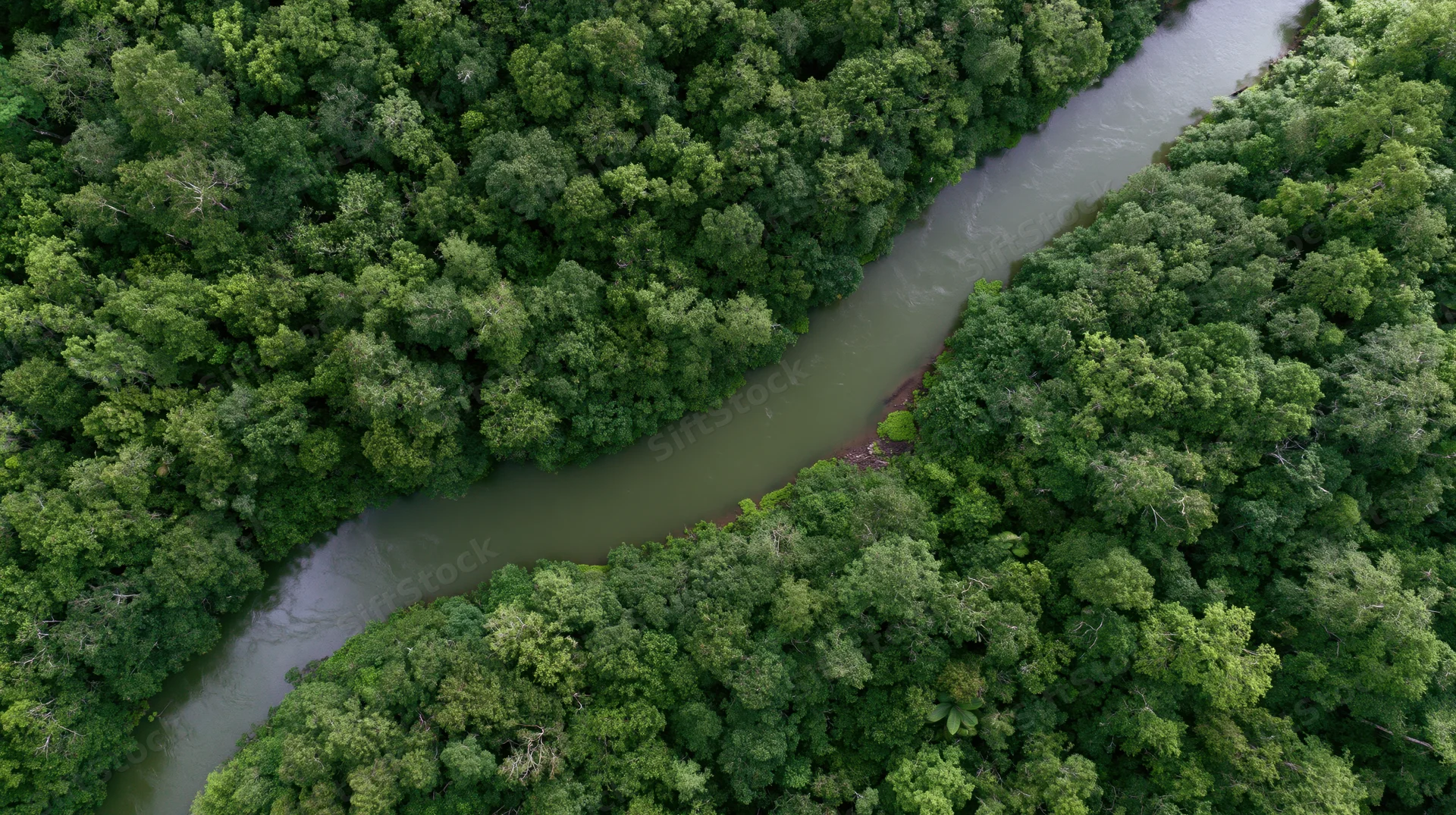 Winding river cutting through dense tropical rainforest canopy from above