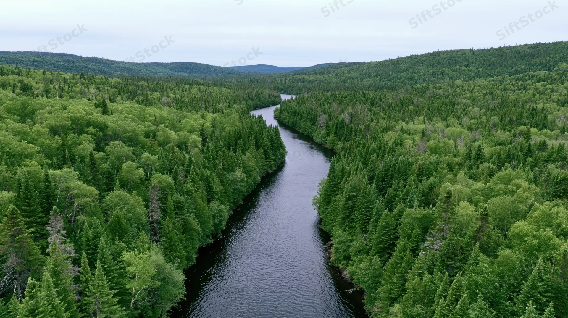 Aerial drone view of a dark winding river cutting through dense green forest in a remote valley