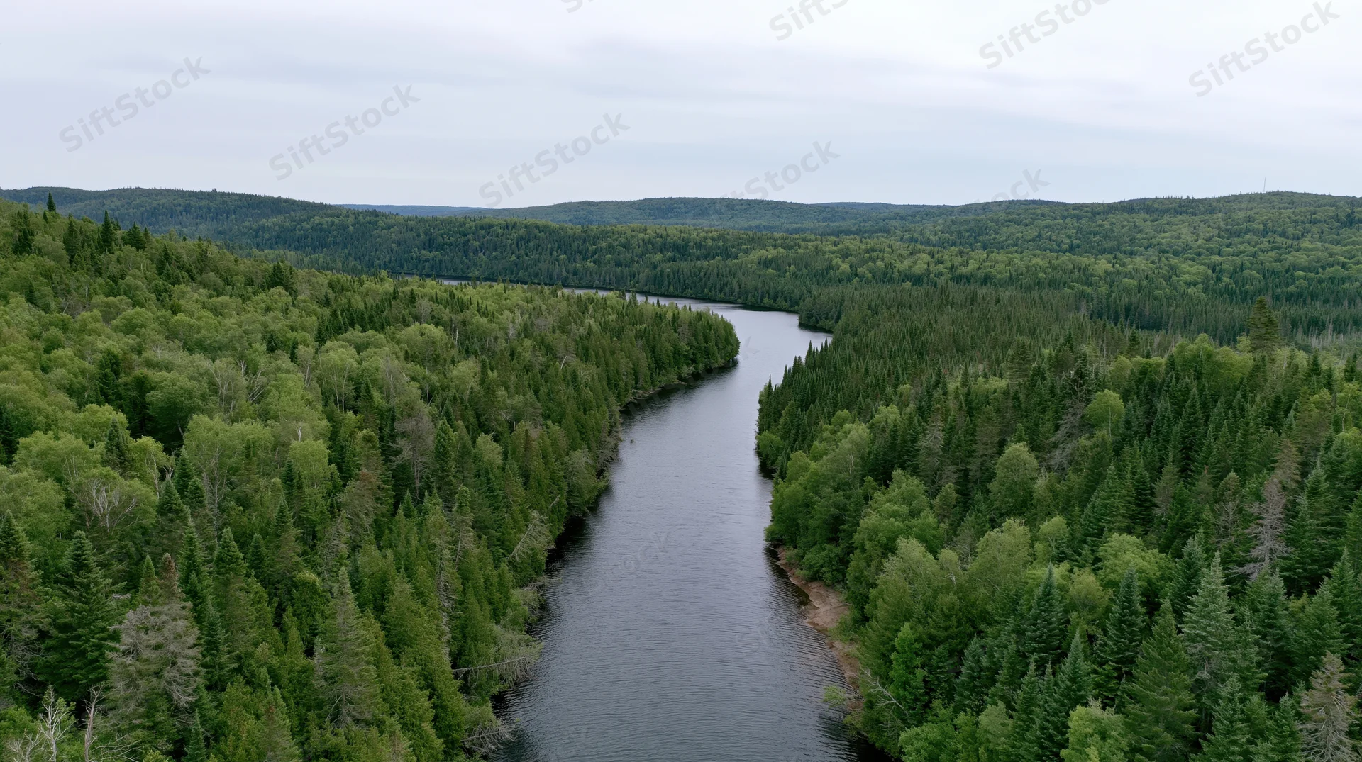 Aerial view of a dark winding river cutting through dense green forested hills under overcast sky