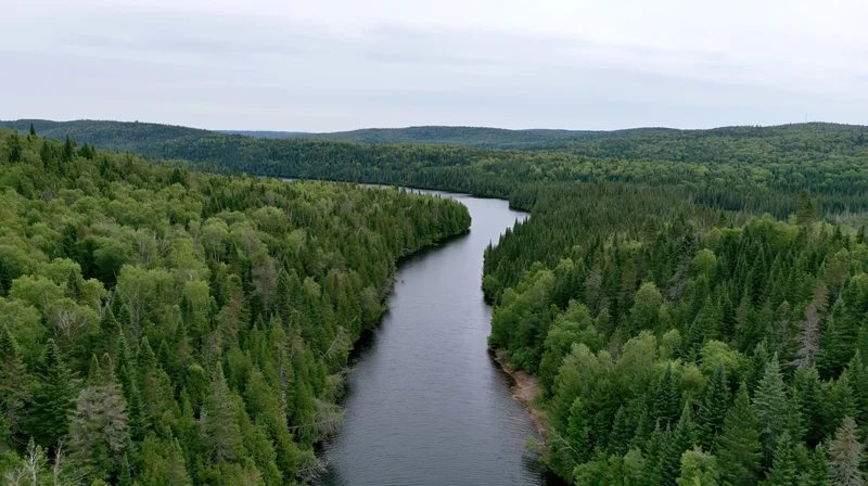 Aerial view of a dark winding river cutting through dense green forested hills under overcast sky