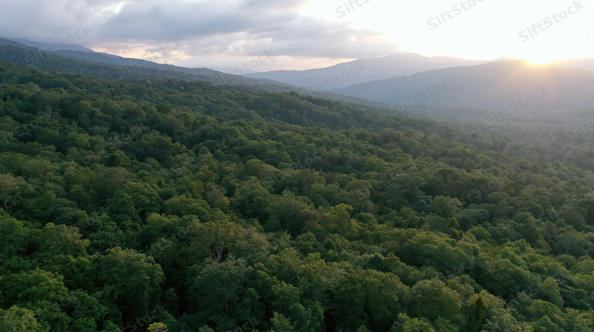 Aerial drone view of dense tropical forest canopy stretching across mountainous terrain at sunset