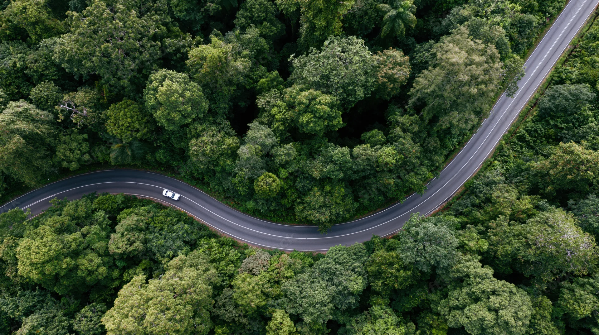 Aerial view of a winding road through dense green forest with a white car driving along it