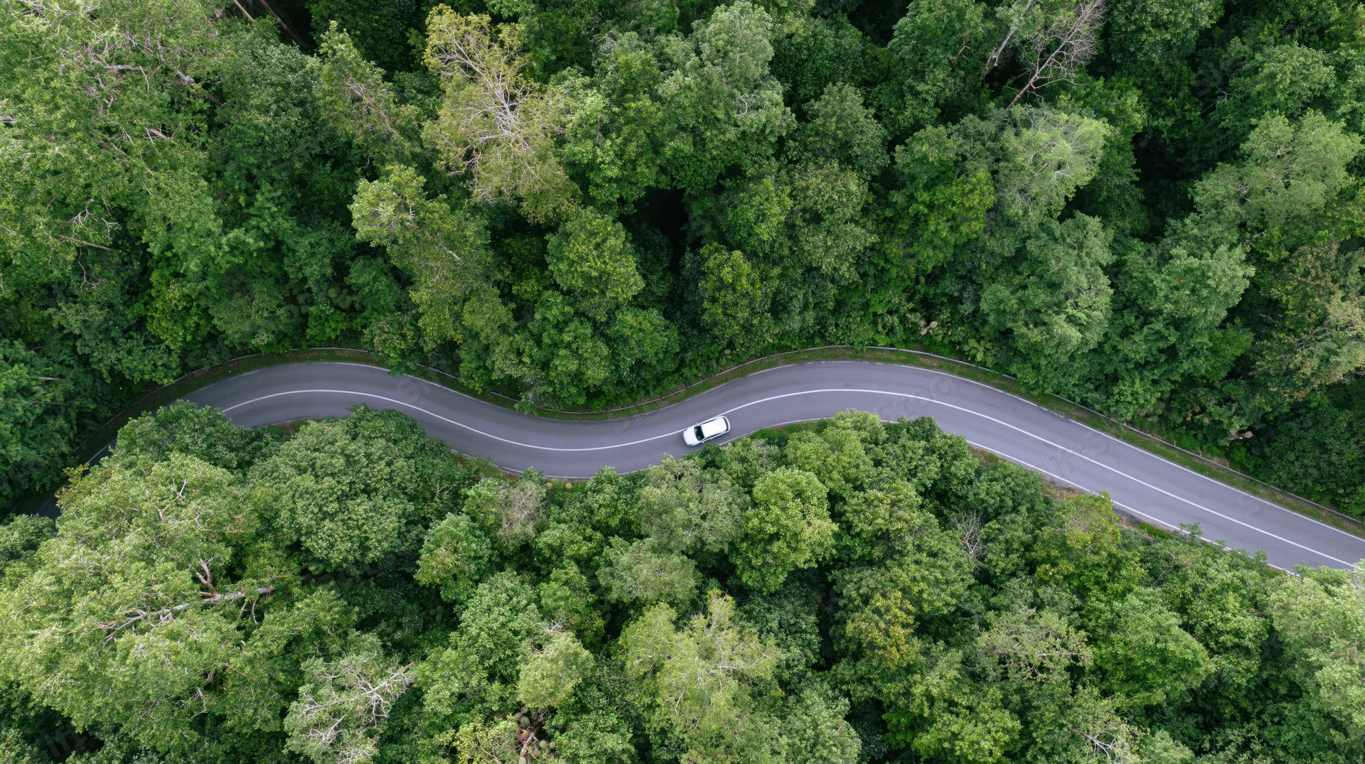 Aerial view of a winding road through dense green forest with a white car driving along it
