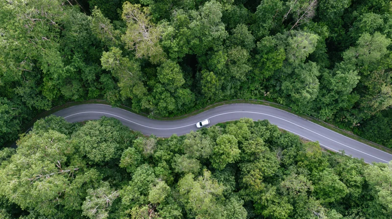 Aerial view of a winding road through dense green forest with a white car driving along it