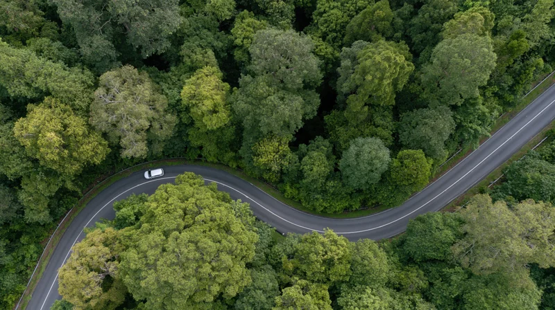 Aerial view of a winding road through dense green forest with a white car driving along the curve