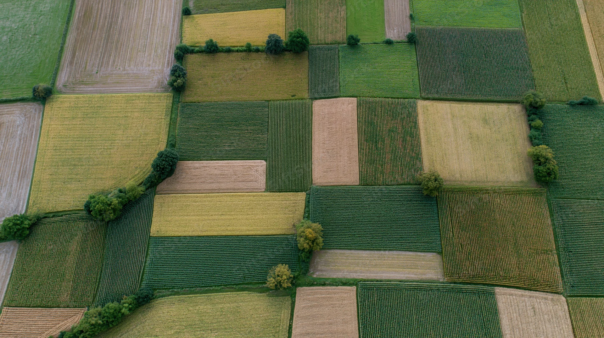 Aerial topdown view of patchwork farmland fields with green and yellow crops arranged in geometric patterns