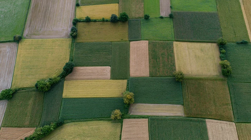 Aerial topdown view of patchwork farmland fields with green and yellow crops arranged in geometric patterns