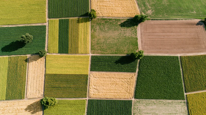 Aerial topdown view of patchwork farmland with green and golden crops arranged in geometric fields