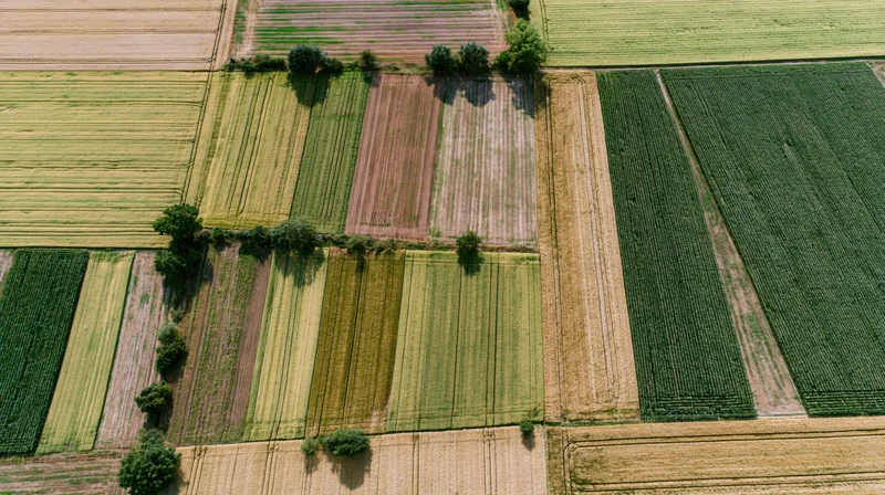 Aerial view of patchwork farmland with varied crops and soil patterns