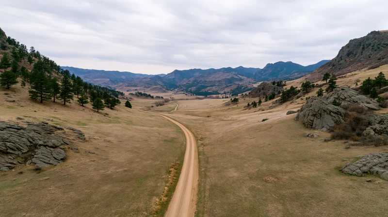 Aerial view of a winding dirt road through a mountain valley with grassland and scattered pine trees