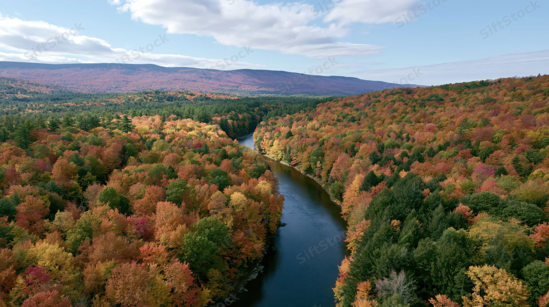 Aerial drone view of a winding river cutting through dense autumn forest in a mountain valley