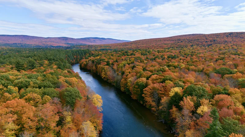 Aerial view of a winding river flowing through a dense autumn forest with colorful foliage and distant mountains under a partly cloudy sky