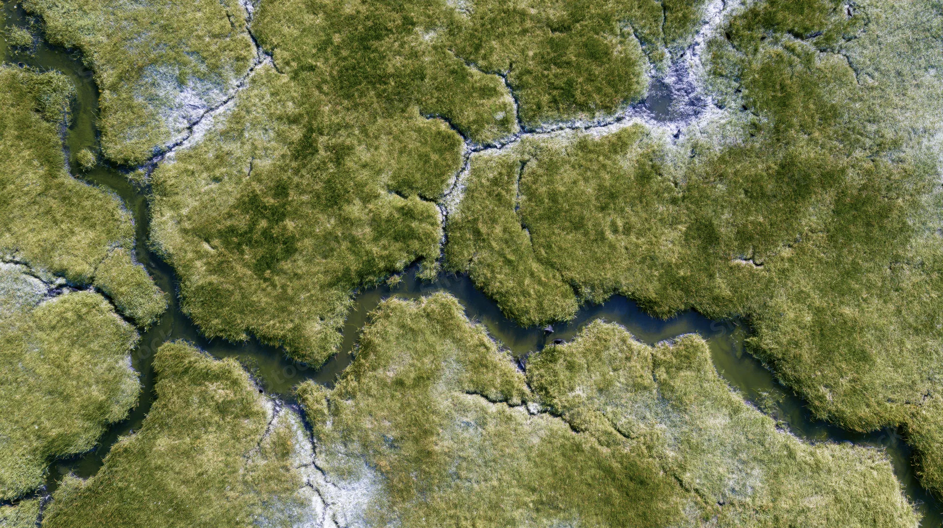 Aerial top-down view of a wetland marsh with winding water channels and green vegetation
