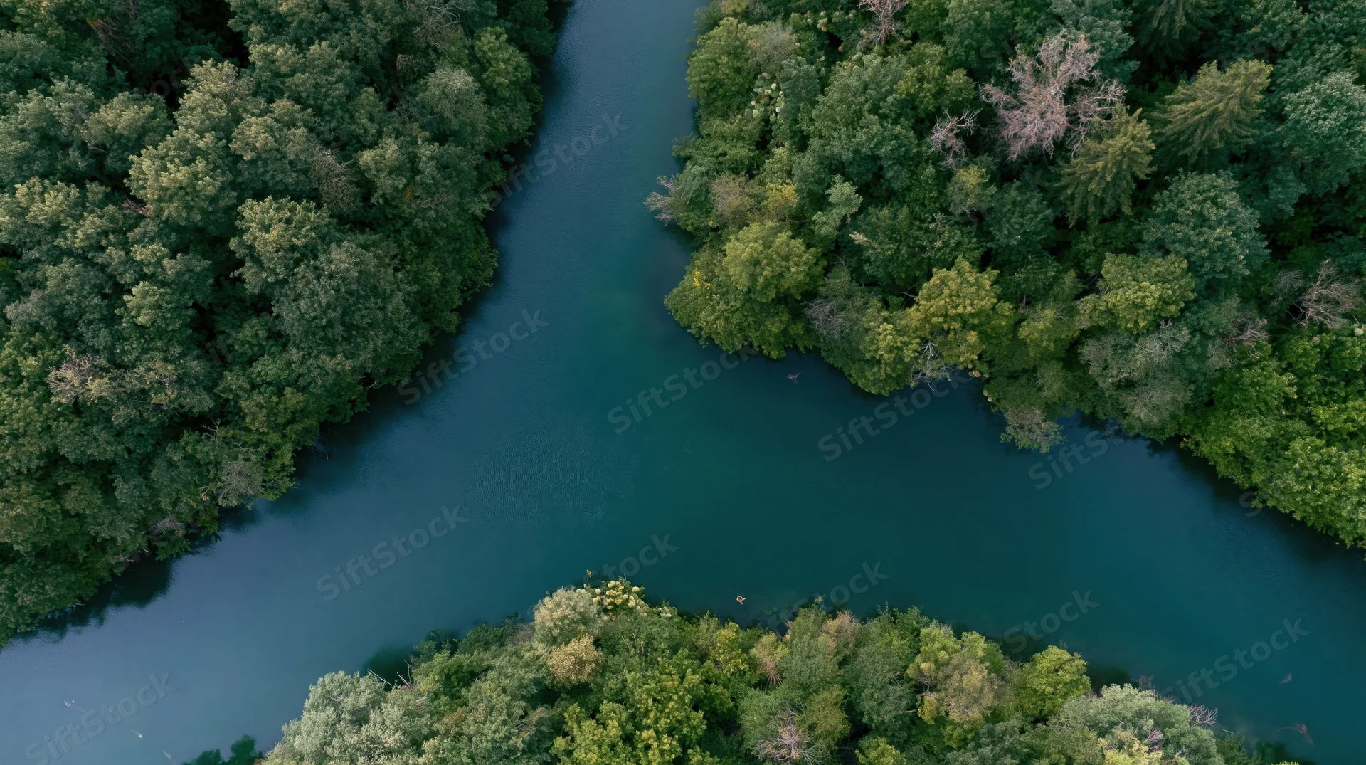 Aerial top-down view of a calm river winding through dense green forest