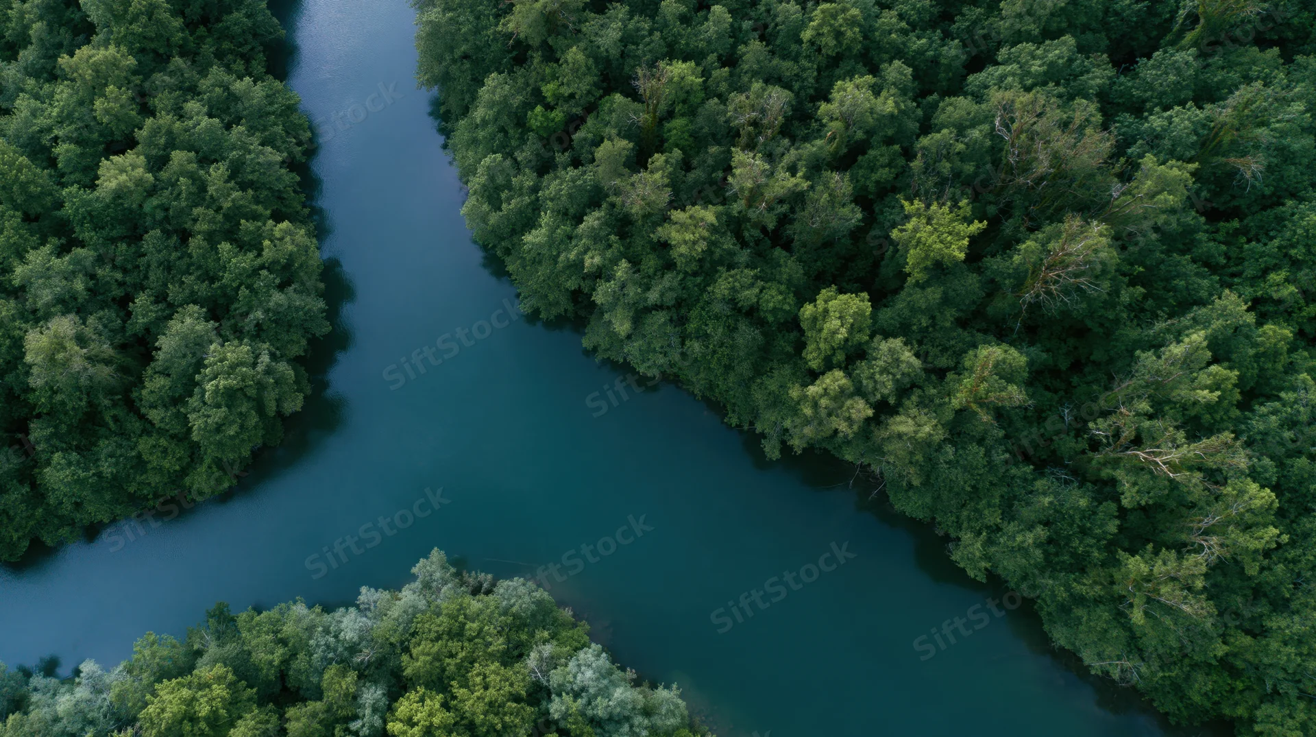 Aerial top-down view of a calm river winding through dense green forest