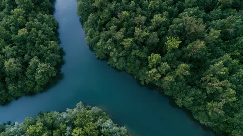 Aerial top-down view of a calm river winding through dense green forest