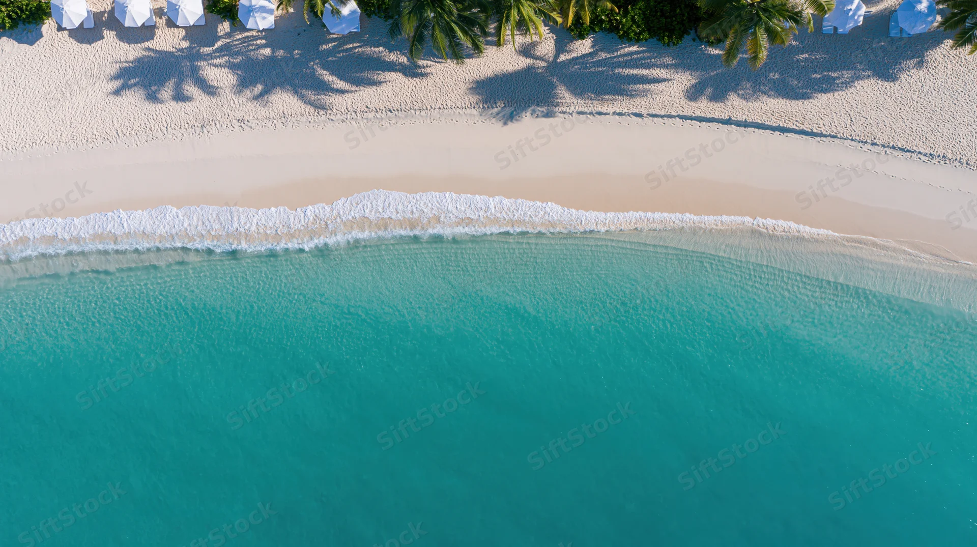 Aerial top-down view of a calm tropical beach with turquoise water, white sand, palm trees, and umbrellas along the shoreline
