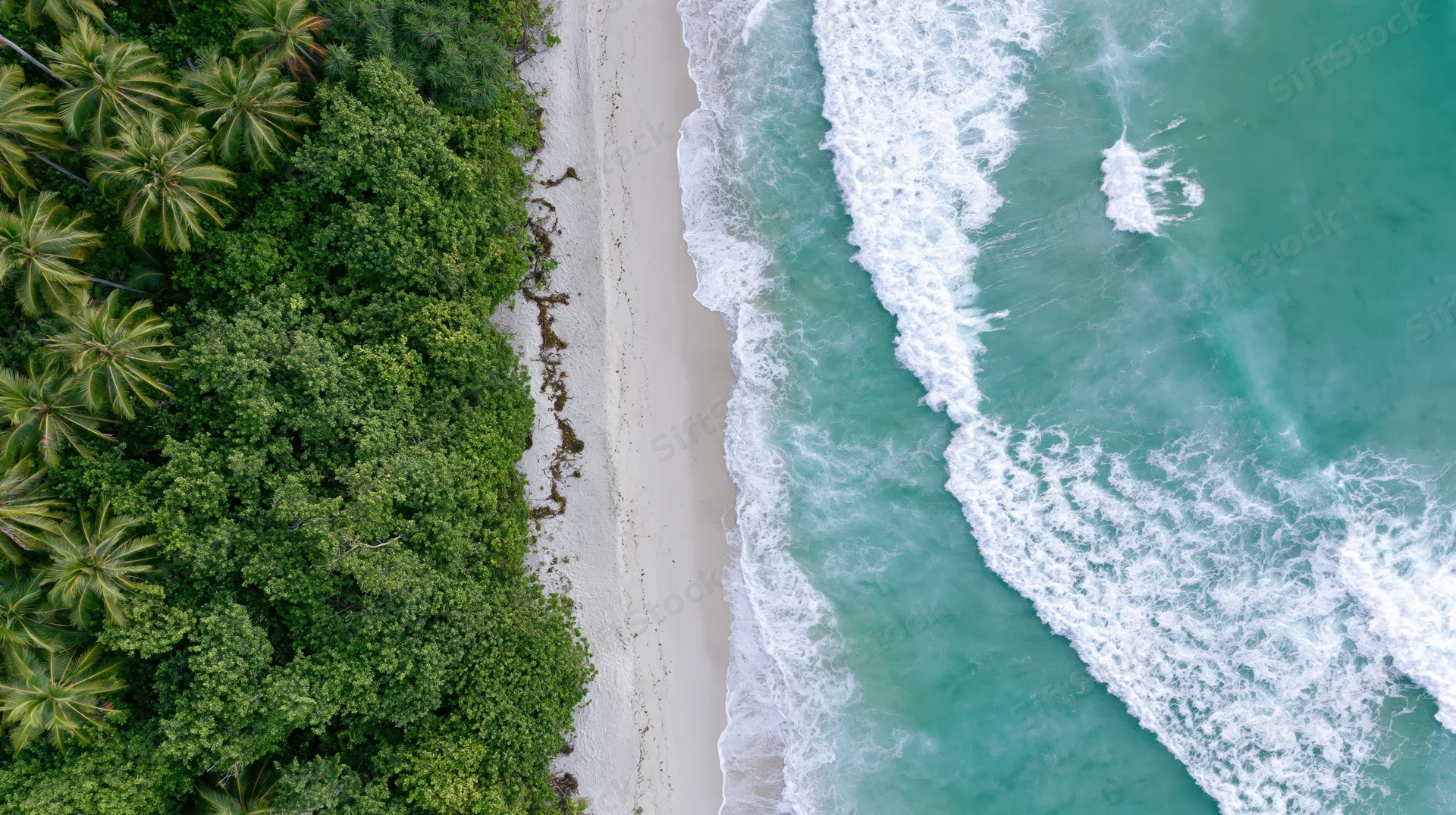 Aerial top-down view of a tropical beach with palm trees and turquoise waves crashing on white sand