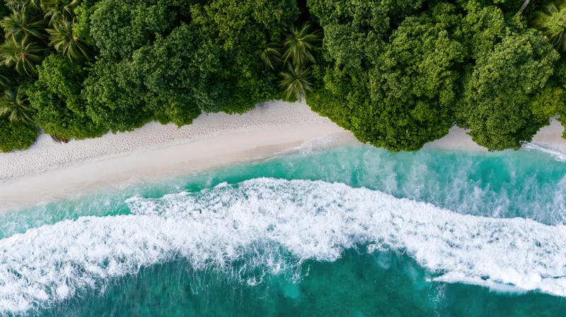 Aerial top-down view of a tropical beach with white sand and turquoise waves meeting a dense green jungle shoreline