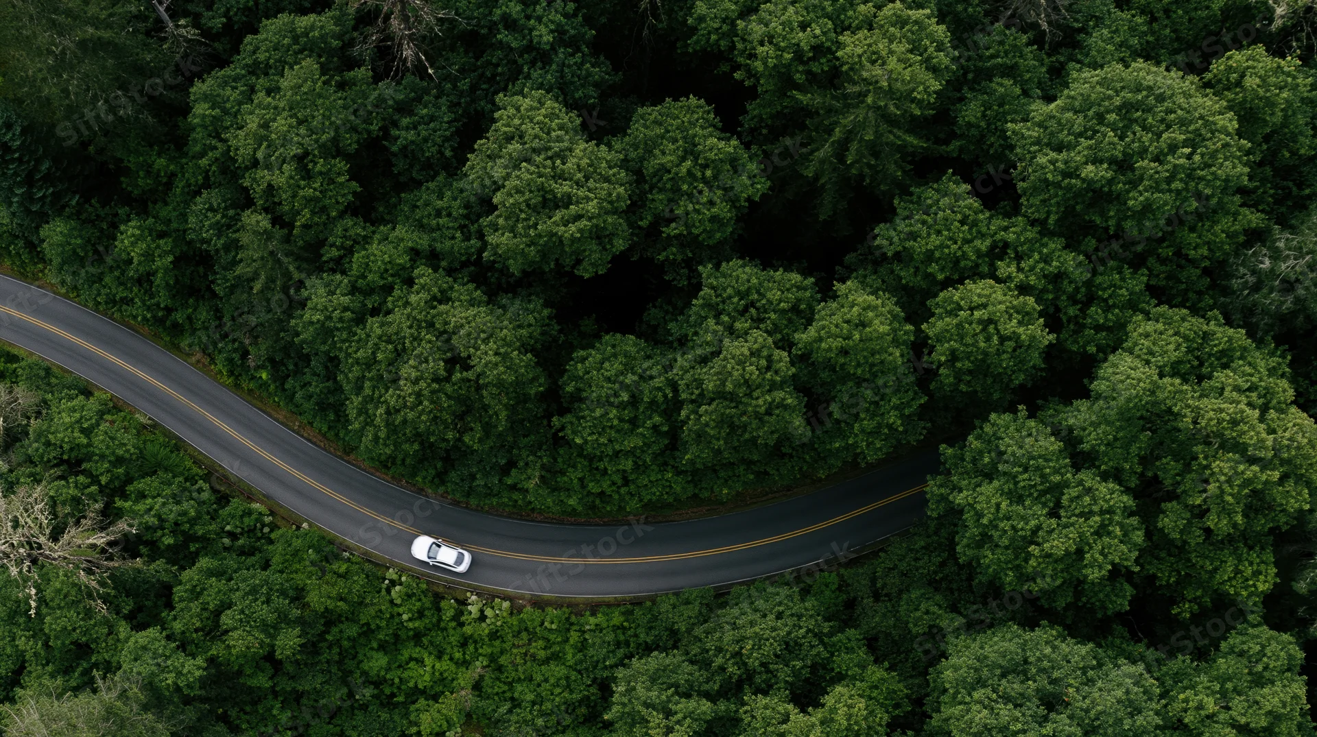 Aerial top-down view of a winding asphalt road through dense green forest with a white car driving along it