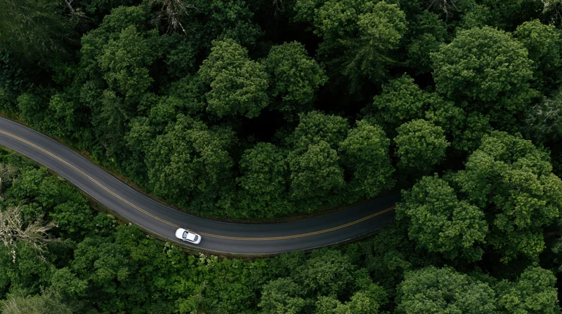Aerial top-down view of a winding asphalt road through dense green forest with a white car driving along it
