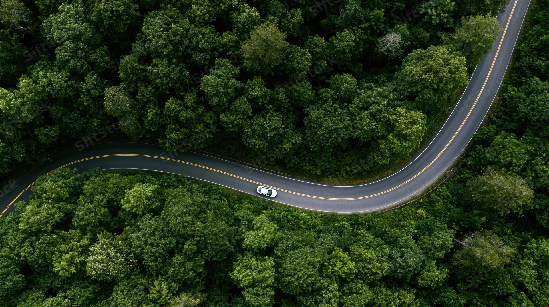 Aerial top-down view of a winding asphalt road through dense green forest with a white car driving along it