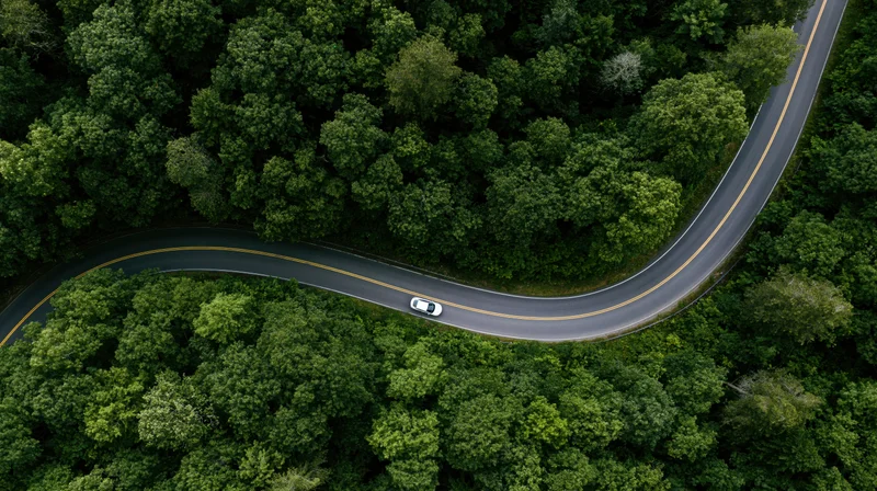 Aerial top-down view of a winding asphalt road through dense green forest with a white car driving along it