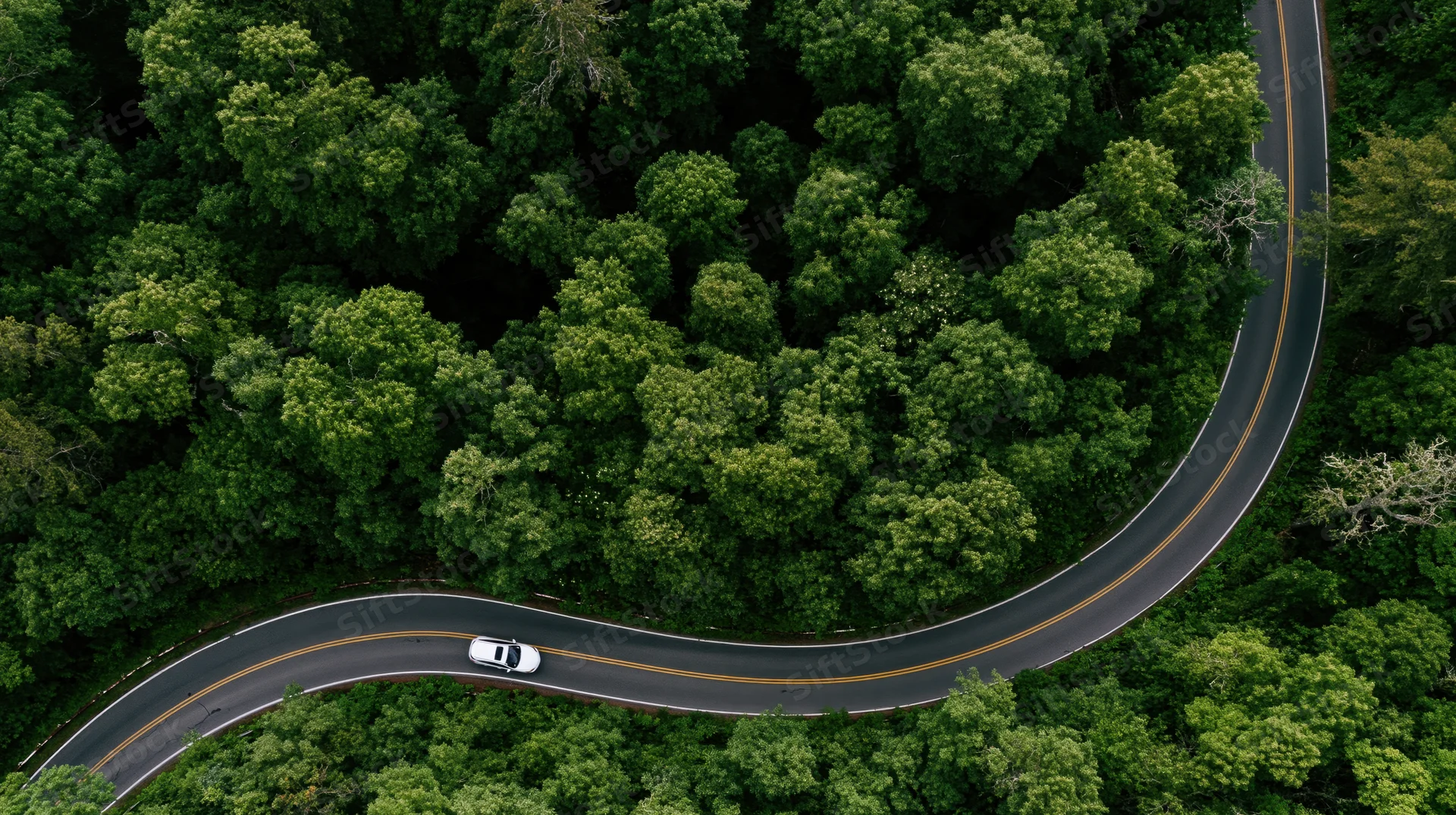 Aerial view of a winding asphalt road through dense green forest with a white car driving along it