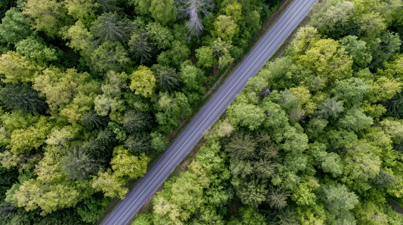 Aerial top-down view of a narrow two-lane asphalt road cutting through a dense green forest canopy