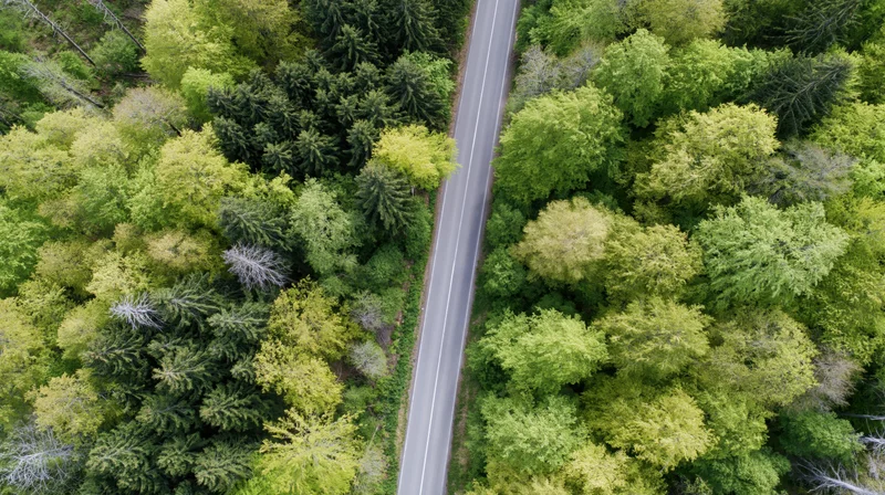 Aerial top-down view of a narrow two-lane asphalt road cutting through a dense green forest canopy