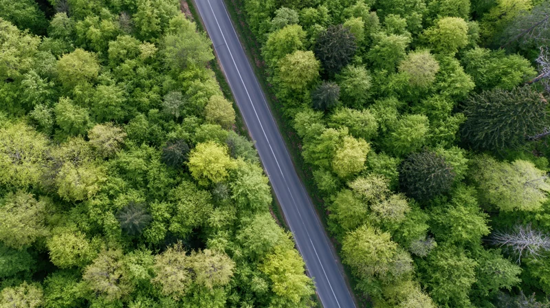 Aerial top-down view of a narrow two-lane asphalt road cutting through a dense green forest canopy