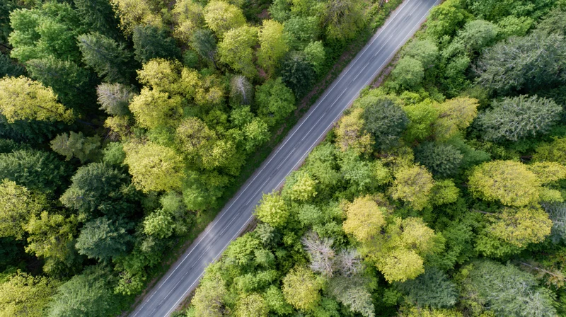 Aerial top-down view of a narrow two-lane asphalt road cutting through a dense green forest canopy
