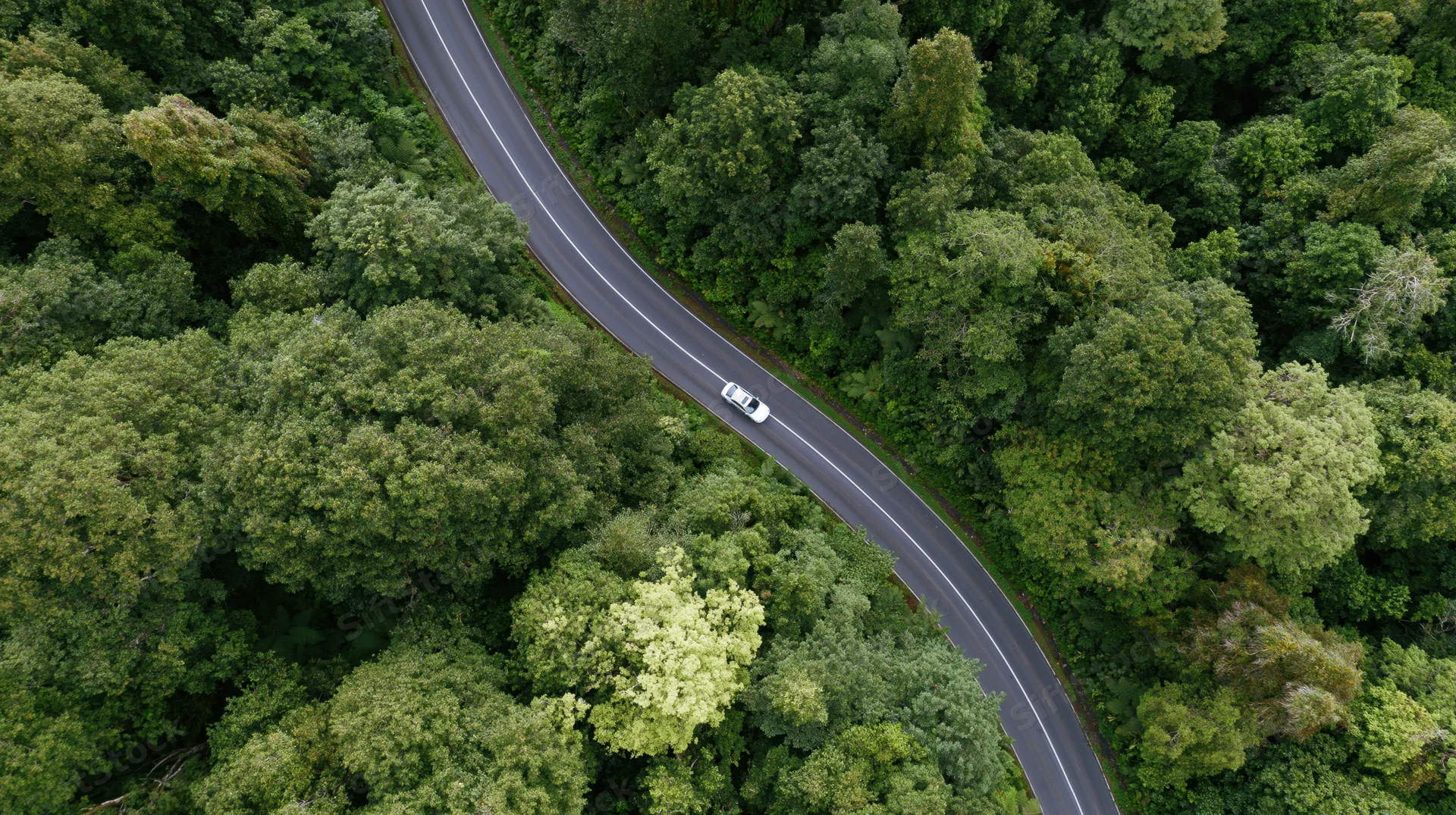 Aerial top-down view of a winding asphalt road through dense green forest with a white car driving along it