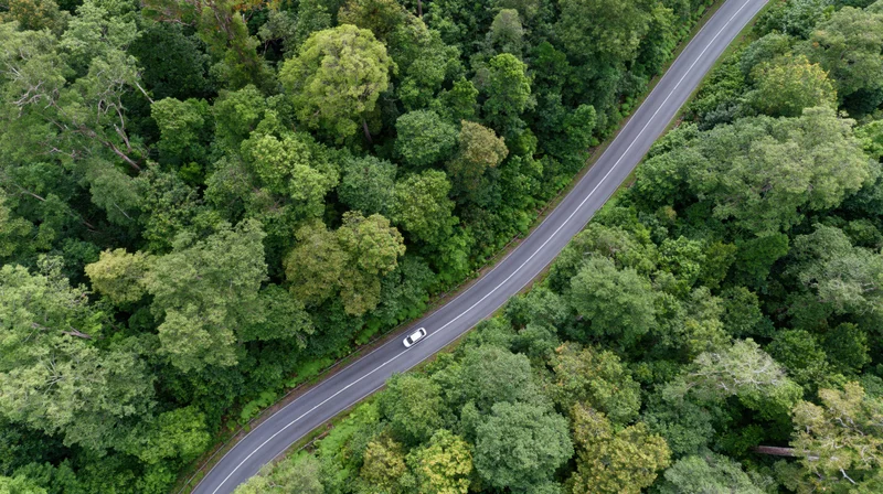 Aerial view of a winding asphalt road through dense green forest with a car driving along it
