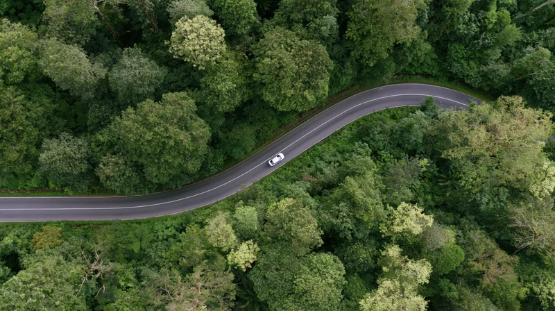 Winding asphalt road through dense green forest from aerial drone view