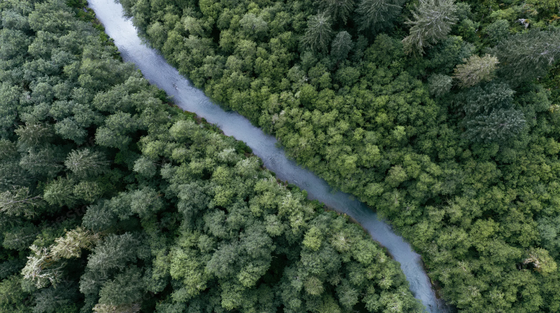Aerial top-down view of a winding river cutting through dense green forest