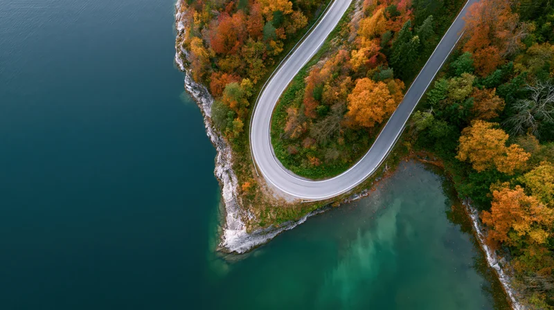 Winding road curving along a lake shore through autumn forest from above