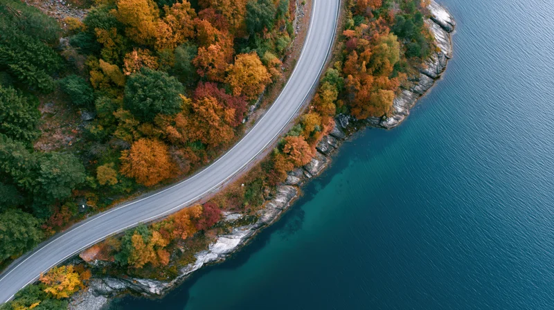 Aerial top-down view of a winding two-lane road along a forested coastline beside a lake in autumn